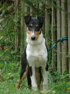 a po lepení uší :))